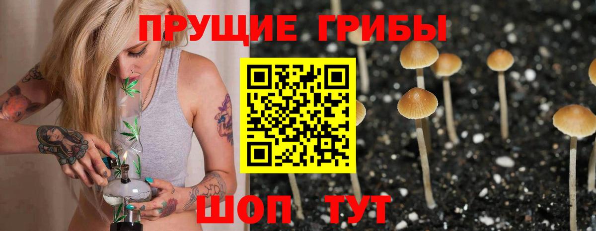 Карпинск  Псилоцибиновые грибы мухоморы  Вход с VPN  цена наркотик  Псилоцибиновые грибы GOLDEN TEACHER 